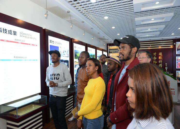 ŷ��(�й�)�ɷ����޹�˾����