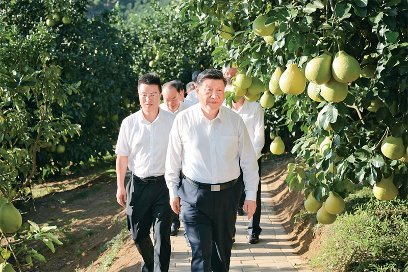 ŷ��(�й�)�ɷ����޹�˾����